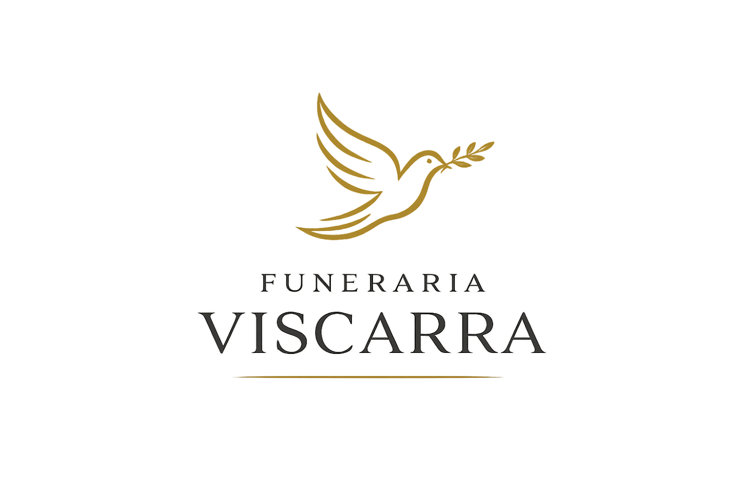 Funeraria Viscarra